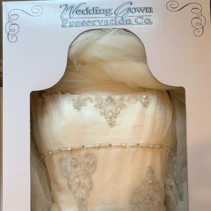 Off-White Pronovias Beaded Wedding Gown